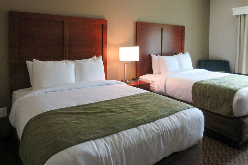 Comfort Inn & Suites Florence Ruang foto